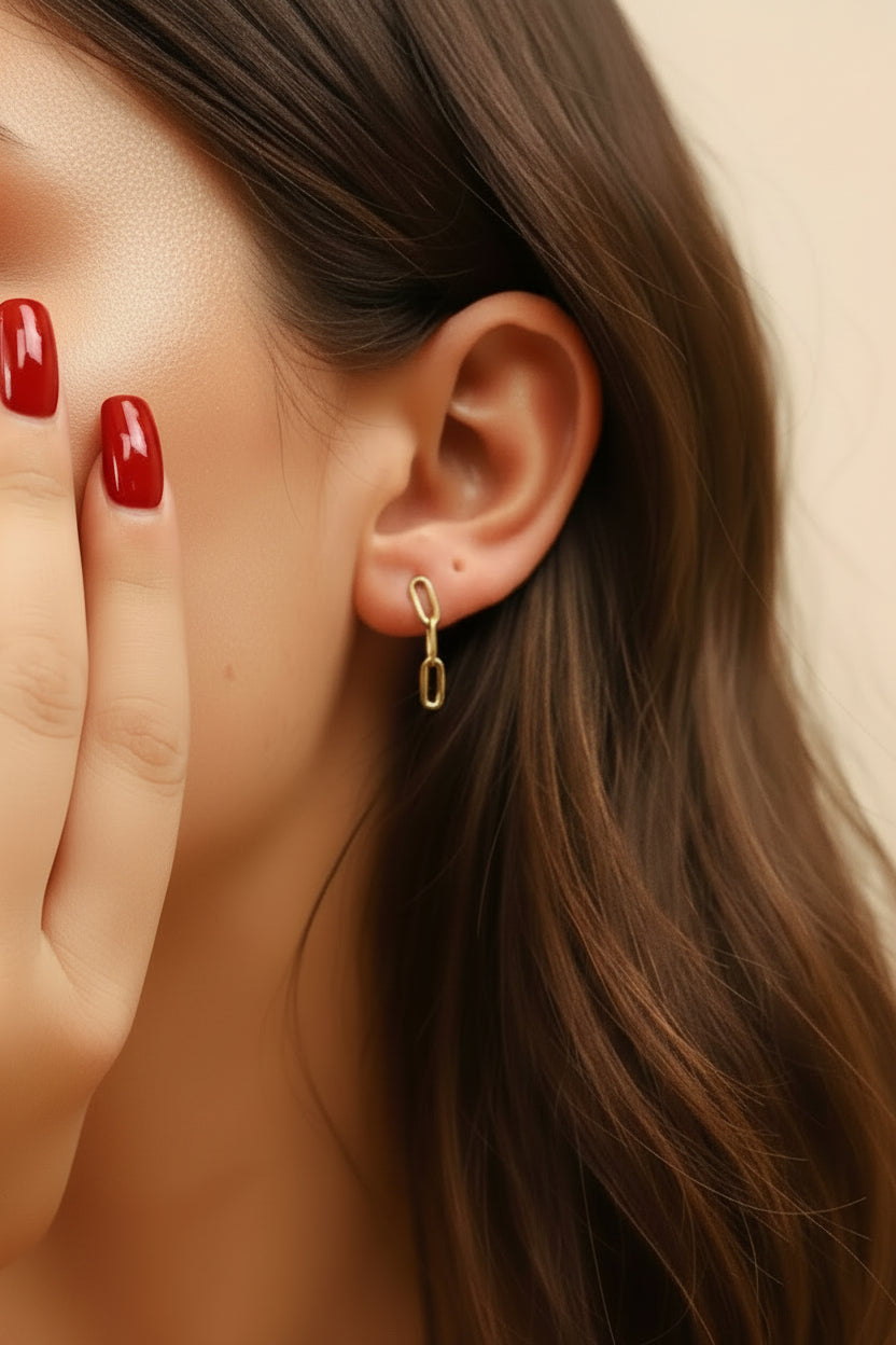 Stainless Steel Paperclip Earrings